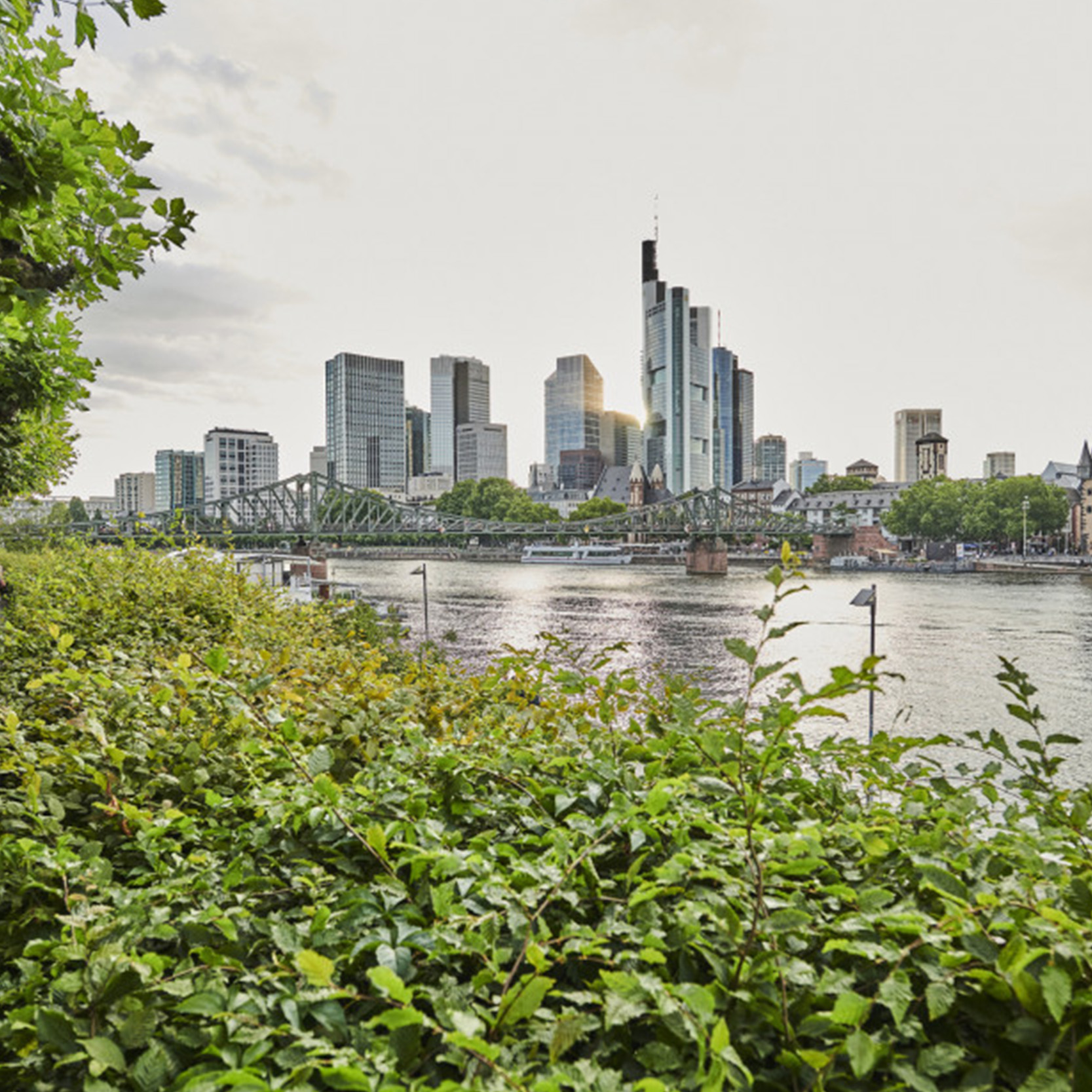 Blick auf die Skyline von Frankfurt